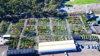 Plantmark Wantirna  Wholesale Plant Nursery Tour [upl. by Maffei]