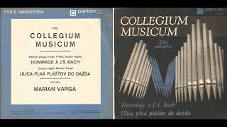 Marián Varga Hommage à JS Bach 1970 [upl. by Merwin291]