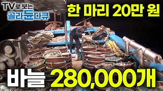 바구니 하나에 낚싯바늘 400발 주낙 700개 작정하고 바다로 싣고 떠난 21톤급 풍년호 선원들은 과연 만선할 수 있을까｜4박 5일 흑산도 만선 홍어잡이｜극한직업｜골라듄다큐 [upl. by Alfonzo570]