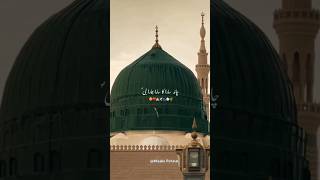 Hamara Nabi ﷺ❤ ہمارا نبی shortfeed shorts islamicstatus [upl. by Ecyob345]