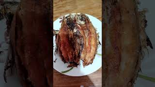 Fried Boneless Bangus for Dinner [upl. by Cappella]