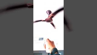 Havells BLDC Fan  havells fanhomeappliance bldcfan trending video viralvideo shortvideo 🔥🔥🔥 [upl. by Sinylg]