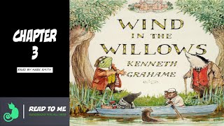 Wind in the Willows  Audiobook Chapter 3 [upl. by Astor7]