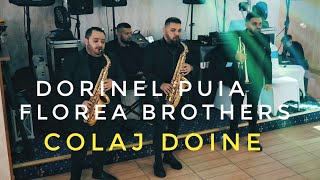 Dorinel Puia Florea Brothers 🟡Colaj Doine 👉Live 2024 [upl. by Ateuqram]