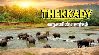 Thekkady Kerala  Things to do in Thekkady  Exploring Kerala [upl. by Ahseina542]