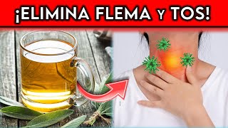 COMBATE la MUCOSIDAD de forma natural con estos REMEDIOS eficaces [upl. by Susejedesoj549]