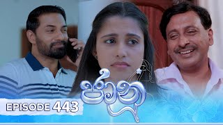 Jaanu  Episode 443  20241105  ITN [upl. by Munniks]