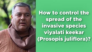 How to control the spread of invasive plant species prosopis juliflora [upl. by Mychael]