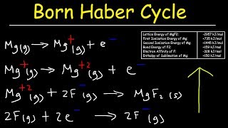 Born Haber Cycle Basic Introduction Lattice Energy Hess Law amp Enthalpy of Formation  Chemistry [upl. by Isia658]