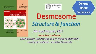 Desmosomes structure and function cell junctions in the skin [upl. by Almena57]