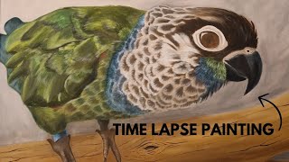 Painting a Beautiful Parrot  Green Cheeked Conure  Oil Painting [upl. by Haywood]