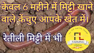 केवल 6 महीने में आपके खेत में केंचुए आ जाएंगे। Earthworms [upl. by Seko523]