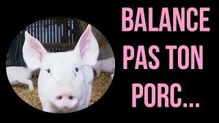 LE BLUES DU COCHON [upl. by Plumbo]