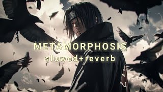 Metamorphosis  slowedreverb  popular song phonk song [upl. by Ekez]