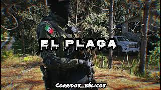 Revolver Cannabi  El Plaga 2022 Corridos [upl. by Aehsila]