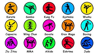 Every Martial Art Type Explained in 12 Minutes [upl. by Stillman]