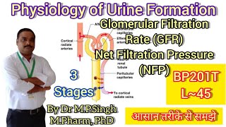 Physiology of Urine Formation  Glomerular Filtration Rate GFR  HAPII  L45 [upl. by Cicenia145]