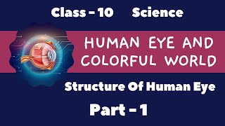 L1Structure Of Human Eye Class10 Human Eye And Colourful World checkmatescience5943 [upl. by Schubert]