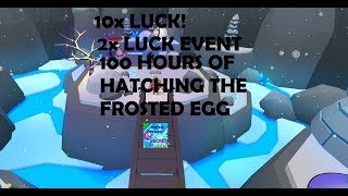 I HATCHED THE FROSTED EGG FOR 100 HOURS WITH 10X LUCKBGS [upl. by Eixor]