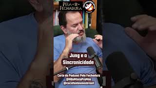 Jung e a Sincronicidade Cacafantasmasbrasil [upl. by Jem]