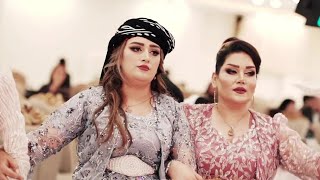 Farshad Amini Kurdish weddings dance 2023 [upl. by Amles]