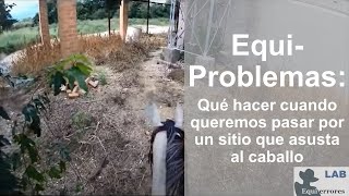 Qué hacer cuando queremos pasar por un sitio que asusta al caballo [upl. by Hose]