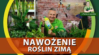 Nawożenie roślin domowych zimą  Z PLANTĄ W OGRODZIE [upl. by Biddy]