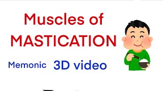 Muscles of Mastication Memonic 3D video  Easy to remember [upl. by Minor]