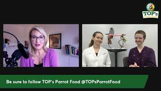 Webinar How to Improve Your Parrots Nutrition and Living Environment [upl. by Naneek]