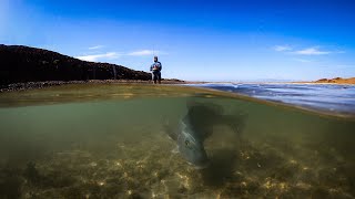 Saltwater Fly Fishing the Dampier Archipelago Flats [upl. by Portingale48]