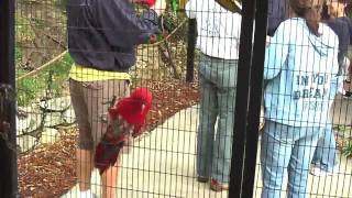 Feeding the Lorikeets at SeaWorld San Antonio [upl. by Helse]