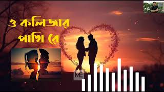 ও কলিজার পাখি রে  O Kolizar Pakhi Re  Bangla Sad Song 2024 [upl. by Scandura178]