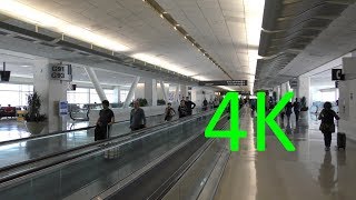 A 4K Tour of San Francisco International Airport SFO [upl. by Ahsinaw339]