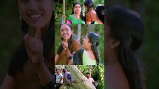 പെണ്ണിന്നു വലിയ ഫോമിൽ ആണല്ലോ Vellithira Movie  Prithviraj  Navya Nair  Kalabhavan Mani [upl. by Binny431]