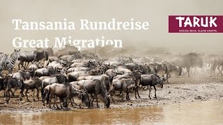 TansaniaReise Great Migration  Großwildwanderung Kultur Pur amp entspannen auf Sansibar  Kurzfilm [upl. by Atirahs]