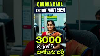 Canara Bank Recruitment 2024  3000 apprentice vacancies in canara bank [upl. by Lotson]