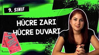 11 HÜCRE ZARI  HÜCRE DUVARI  9 SINIF  TYT BİYOLOJİ DERS NOTLARI  2024 [upl. by Enomsed]