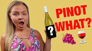 Pinot Grigio vs Pinot Gris  Best Sweet Wines for Beginners [upl. by Ariaet774]