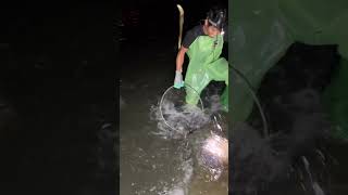 Amazing Fishing shorts fishing youtubeshorts trending amazing virelshorts viralvideo fyp [upl. by Gignac]