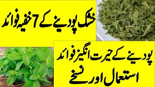 Podina Benefits in Urdu  Podina Ke Faide  Mint Benefits In Urdu\Hindi Podina ke Fayde\ fawaid [upl. by Llenram3]