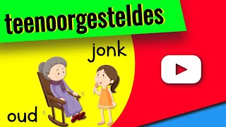 Teenoorgesteldes in Afrikaans 👉 Opposites in Afrikaans [upl. by Aineles775]