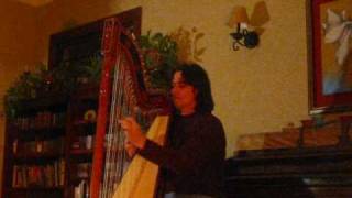 Harpist Nicolas Carter plays Moliendo Cafe [upl. by Healion108]