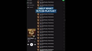 best playlist 😍😍weezer raditude riverscuomo brianbell spotify album silly [upl. by Bev63]