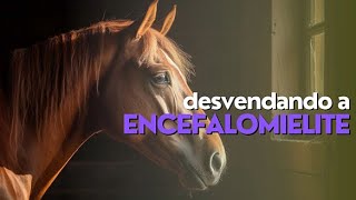 Desvendando a Encefalomielite Equina [upl. by Alyworth]