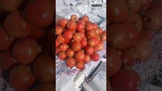 Today fruits rates 😍😋  Edhi Yaaparam  Pavan Kumar Undamatla [upl. by Willcox]