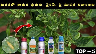 మిరపలో తామర పురుగు వైరస్ పై ముడత నివారణకు syngenta plesivaminto extra syngentacorteva engage [upl. by Rufina629]