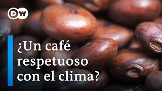 El futuro del cultivo y la producción del café  DW Documental [upl. by Hardej]