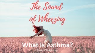 What is Asthma The Sound of Wheezing [upl. by Siednarb97]