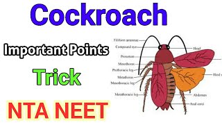 Cockroach Periplaneta Americana  Important points for NTA NEET  TrickMnemonic [upl. by Michell250]