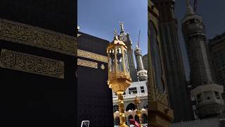 Ya Taiba ya Taiba Islamic video status shorts islamic youtubereels [upl. by Watson]